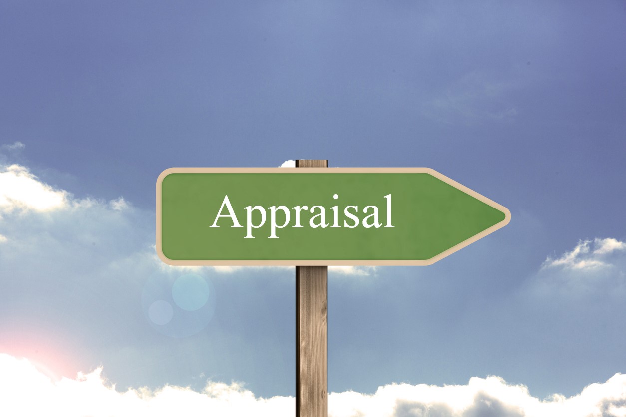 What is The Role of The Appraiser In An Insurance Appraisal? What is